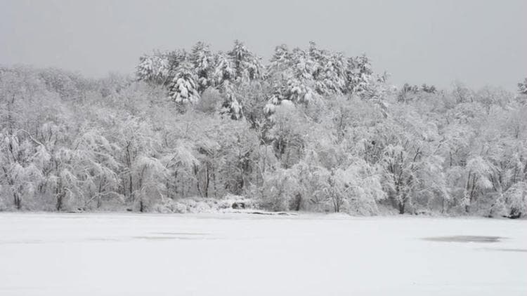 Snowfall brings wintry scenes across Maine